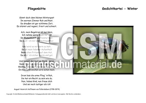 Fliegenbitte-Fallersleben.pdf